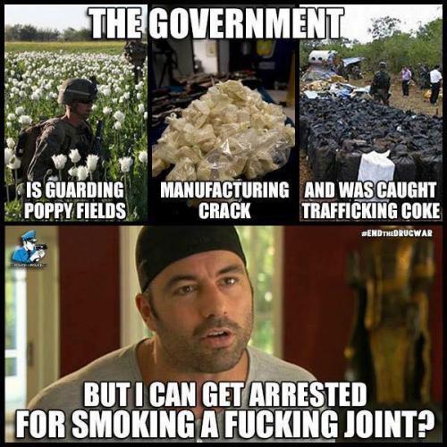 31052393_473564556405508_1456249287804452864_n