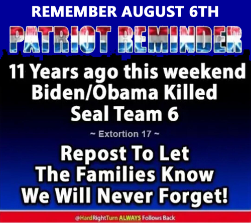 M Seal Team 6