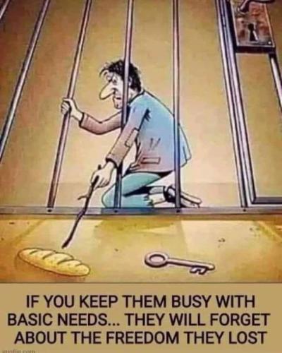 99ce9232786370f54d327ed42a952799