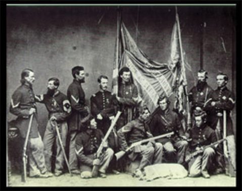 henry guns