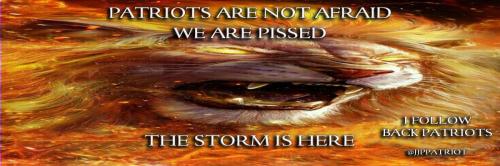 1-1-A-LION-GOLDEN-FIRE-EYES-PISSED-HEADER