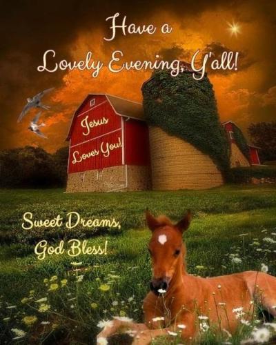 have a lovely evening