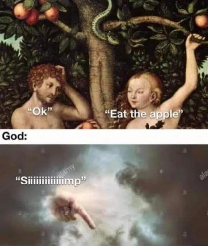 FB_IMG_1660520579607