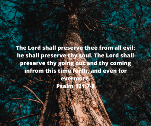 BF52E3F6C6470CE94F6F427D083615EB.bible34
