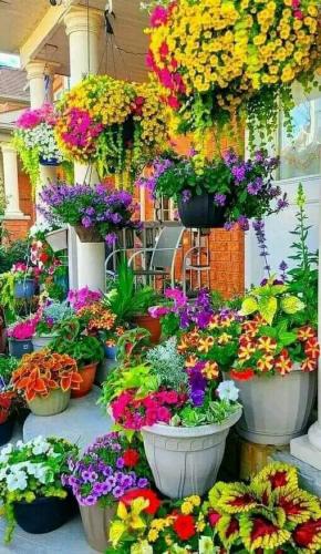 FB_IMG_1659921740320