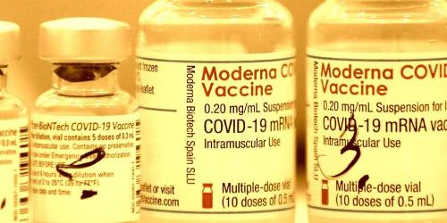 Vaccines-Metal-Toxins