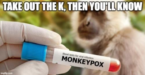 monkey pox