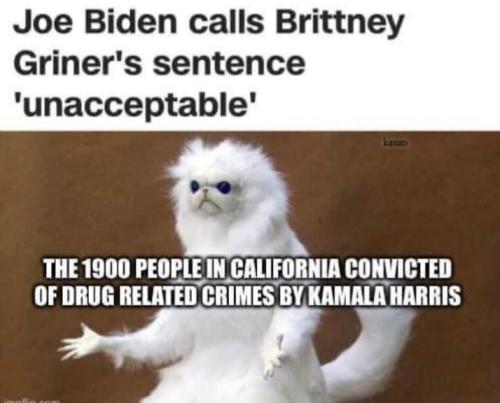 Screenshot_20220806-212537_Parler