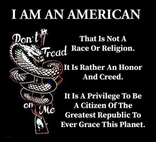 USA American