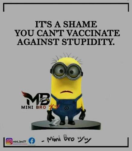its A shame you cant vaccinate against stupidity