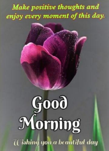081822 - Positive thoughts