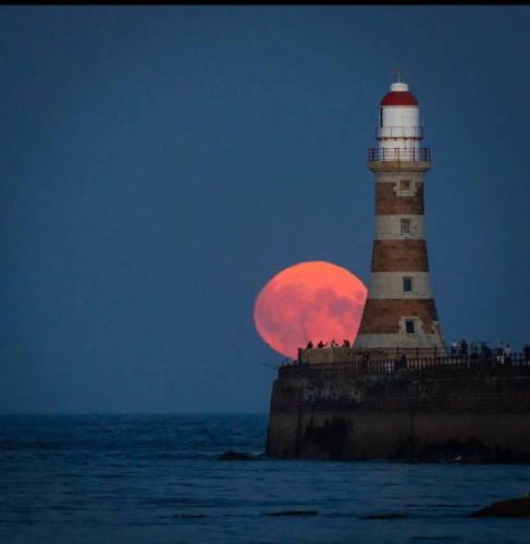 1a4f029d-b370-4508-a341-fcc3d6b6dda9