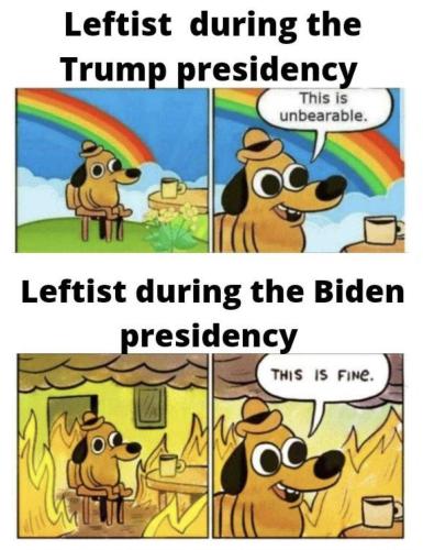 USA leftist