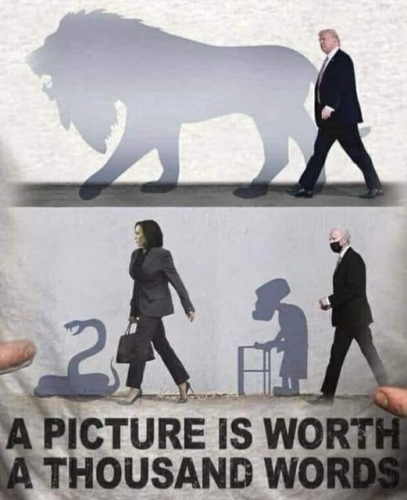 img - 2022-07-23T123415.405