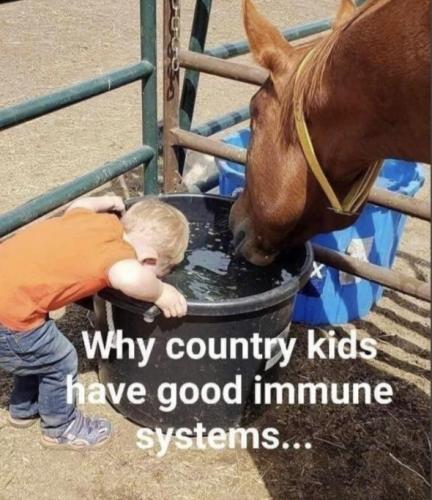 Screenshot_20220818-125941_Chrome