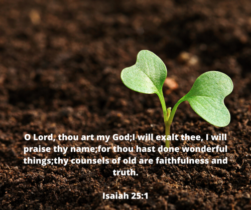 BC064F18BC518756CC62BC602866D694.bible42