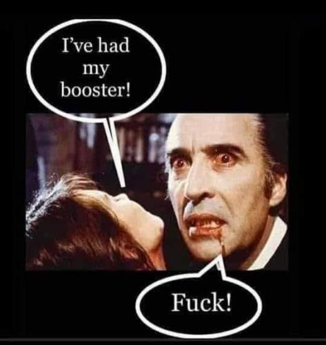 vampire & vax