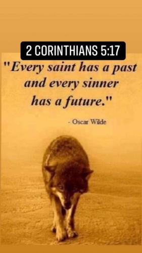 6dc7324e-5305-4bce-808d-ed1fc6dbdb97