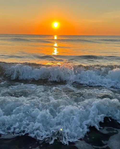 0CBB41F2-100E-45AC-AA16-CBD72652DA53