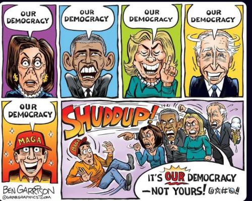 Cartoon - Our democracy