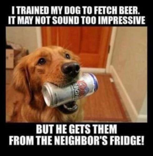 IMG_20220817_195116_329