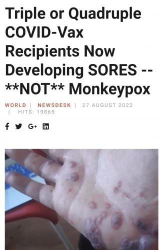 Screenshot_20220828-001033_Brave