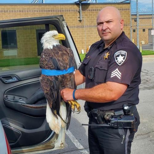 42A05BBC-25E7-48CC-8CE7-6A79D5CB2A05