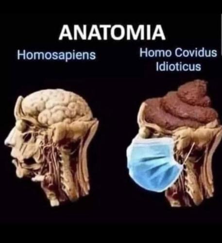 1922b1dbab2ba2d5ca872b72b86e7329_1024