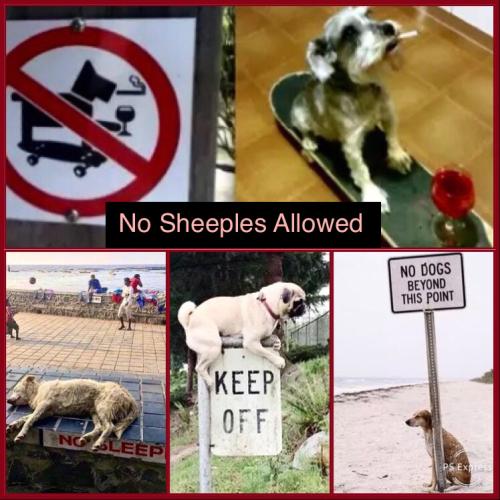 C529F447-5620-4AC9-A543-90244BEE80D4