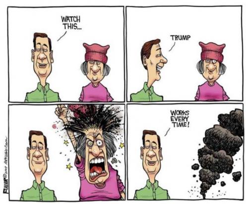 Trump_Trump_Derangement_Syndrome_Test