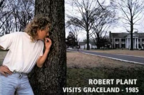 Screenshot_20220824-055549_Gallery