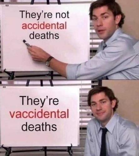 USA vaccidental