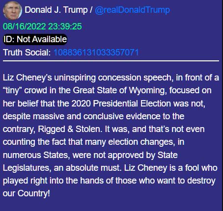 FakeNewsSpeechLizCheney