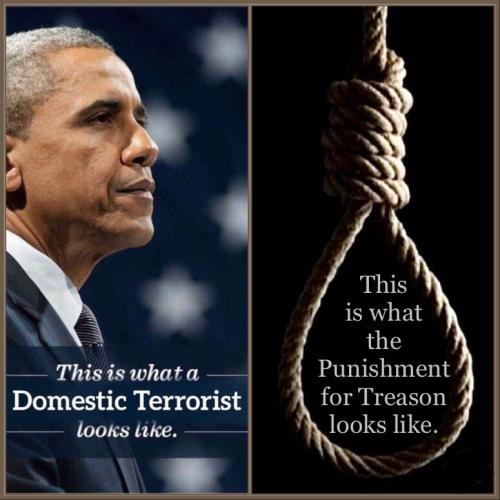 6CCC1D61-8970-4F8A-8071-7B6B81AF9663