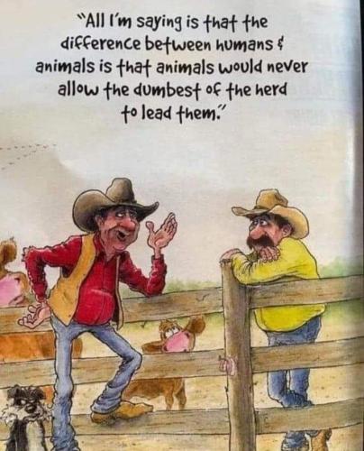 received_2939294683033771