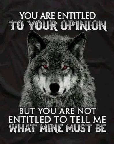 you are entitled to your opinion