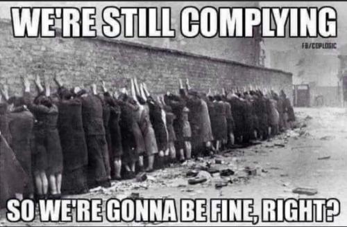 Fine Right