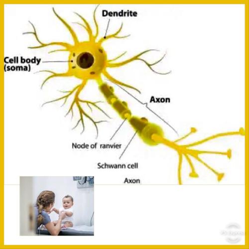 9E39E8EE-DBA9-4690-8234-9F4329BC968C