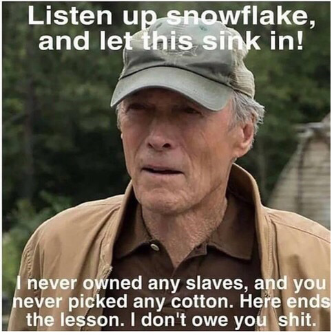 never picked cotton