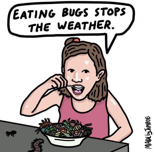 96fe3eb3-d8a2-4634-bb4f-d7bae82cea7e