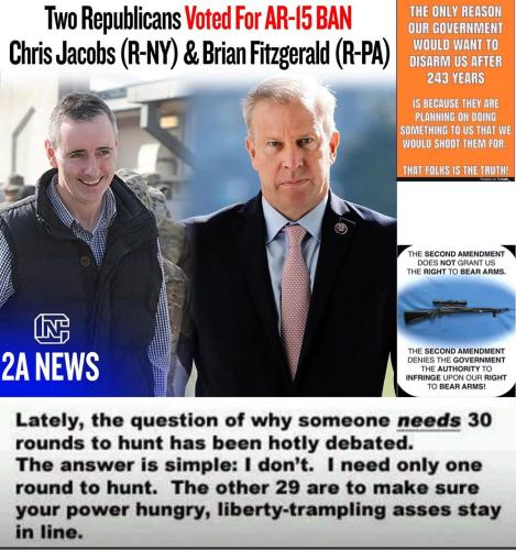 Brian Fitz gun ban
