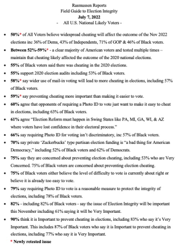 voter fraud rassmusum