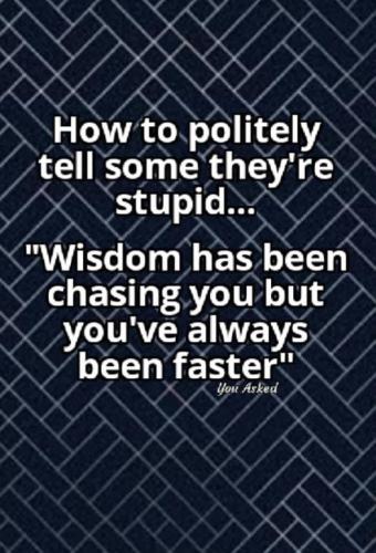 how to politelly tell someone they are stupid