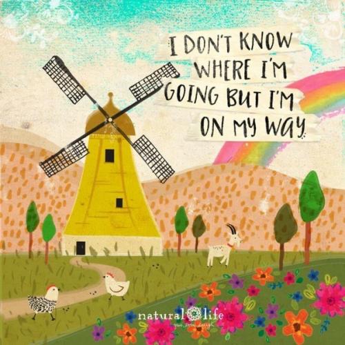 541BD509-801D-4BC2-868E-B14C52C10993