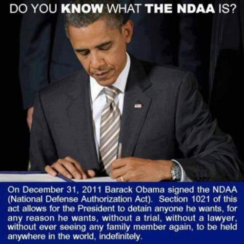 Obama bastard 46 NDAA