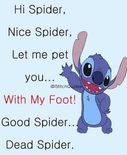 hi spider