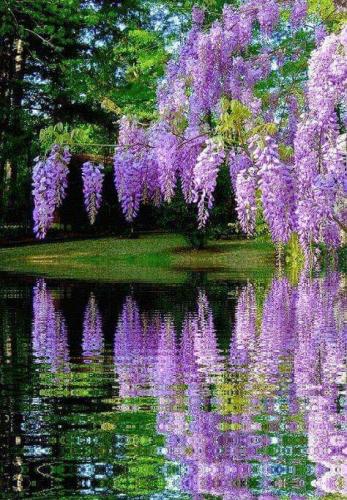 FB_IMG_1659312785666