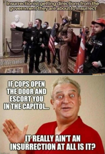 M insurrection