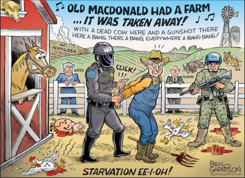 img - 2022-08-10T151533.709