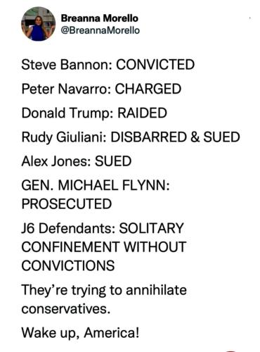 conservatives targeted